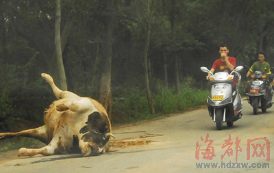 正文 时间:昨日上午8时许 地点:晋江县道325永和镇马坪村段