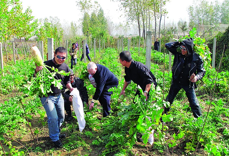 "偷菜"是时下很流行的网络游戏,被很多玩家追捧.