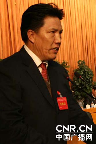 西藏表彰荣获全国民族团结进步模范的集体和个人