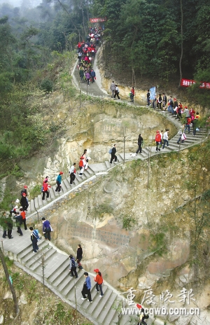 歌乐山登山步道图片