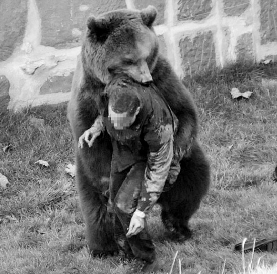 体形硕大的棕熊立即对这名游客进行猛烈攻击