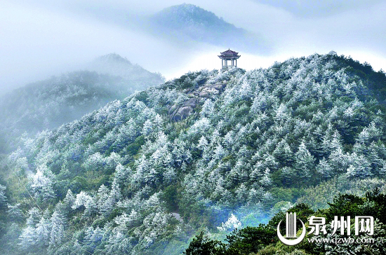 德化:九仙山上雨雾凇