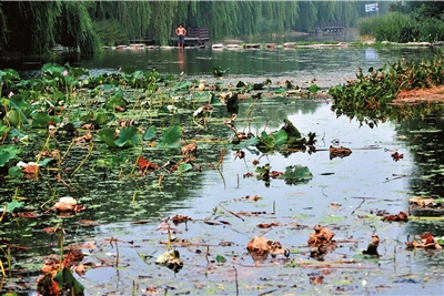 北京太平湖老照片图片