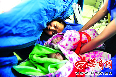 协力同心军嫂产下龙凤胎(图)