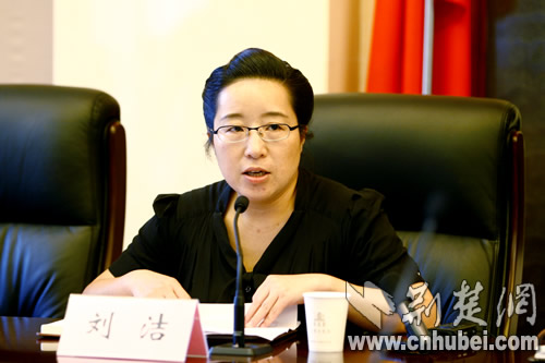 华中科技大学新闻系主任,教授刘洁发表讲话