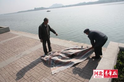 太平河内一具男尸被打捞上岸河北青年报讯(记者李默涵)昨日10时许