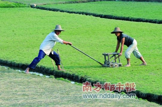 种草_新闻中心_新浪网