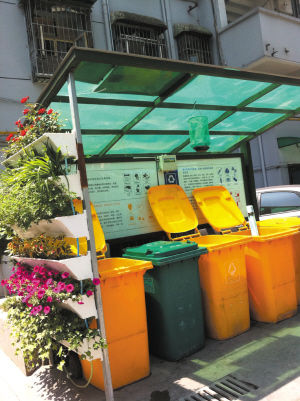 垃圾站藏在花架后