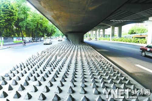 水泥锥何苦要逼流浪者无立锥之地