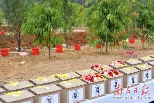 共有52位先人骨灰参与活动,其中39位将安葬在惠州市殡仪馆树葬区,余下