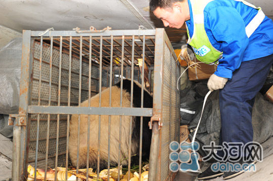 大河网讯(记者王书栋 通讯员 葛丁玮)4月25日,上午10点30分,南航河南