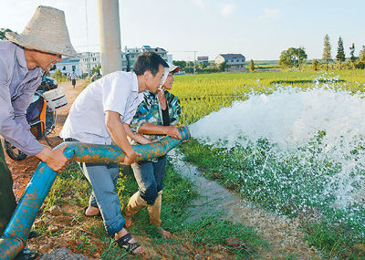 图为江西省新余市南安乡洋江村农民从附近的水塘引水灌溉因旱开裂的