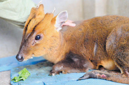 坏人害我更多的好人救我