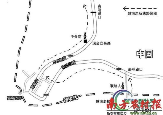 洞口县高勇的保护伞图片