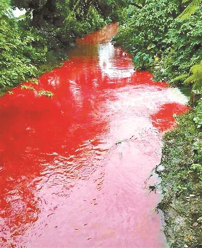 赤水河变红图片