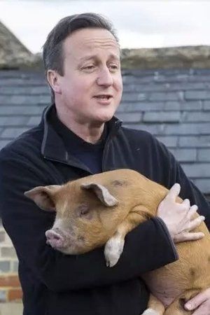 中国是世界上最大的猪肉生产国,也是最大的猪肉消费国,卡梅伦表示:"