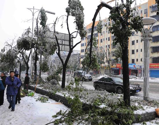 2007年湖南雪灾图片