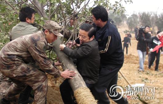 组图:新年上班第一天 温州党政军"植树拜年"