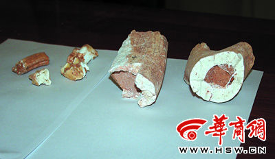 村民大挖"龙骨石"卖钱(图)