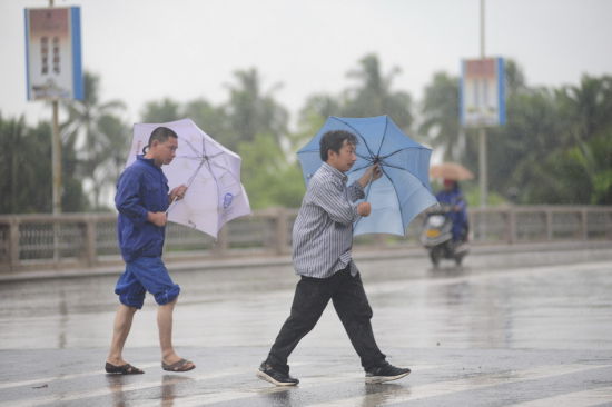 7月29日,海南琼海市民打伞在雨中行走新华社发(蒙钟德 摄)