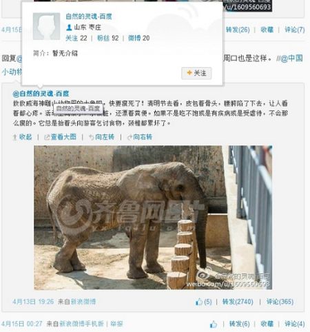 山东荣成1家动物园大象瘦骨嶙峋疑遭虐待(图)