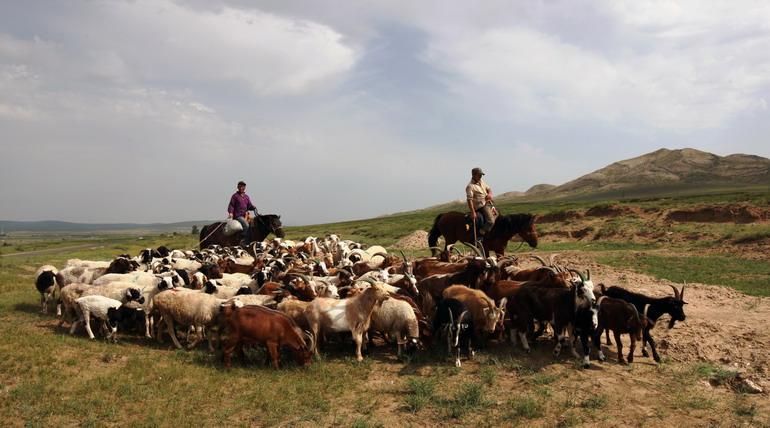 蒙古国近四分之三国土荒漠化组图