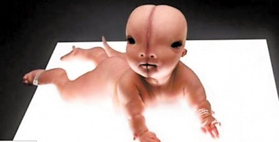 "人耳鼠"早已是事实 "人兽杂交"绝非科幻片(图)