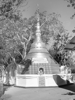 > 正文              龙虎网讯 1月26日的缅甸风和日丽,缅甸北部城市