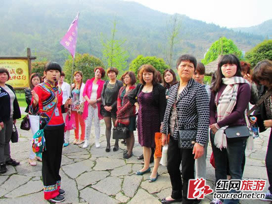 张家界导游服务
