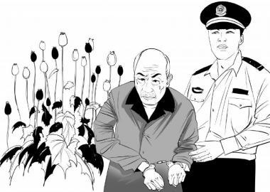 七旬老翁为给妻治病种6350株罂粟被判5年半|罂粟|毒品_新浪新闻