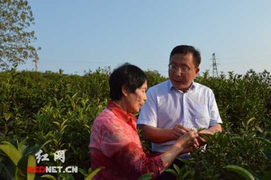 宜章县委书记欧阳锋(右二)与村民们围坐而谈.像这样的"农家夜话