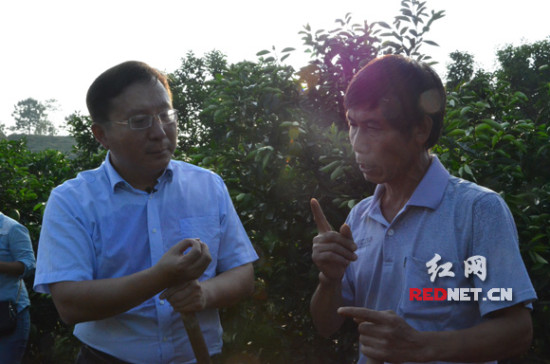 宜章县委书记欧阳锋(右二)与村民们围坐而谈.