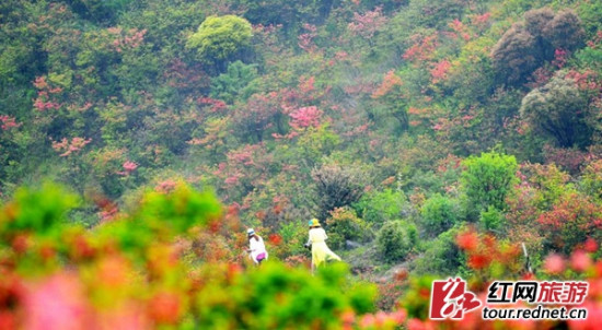 如何完成2014年宣传报道指标 街道党委书记述廉述职报告