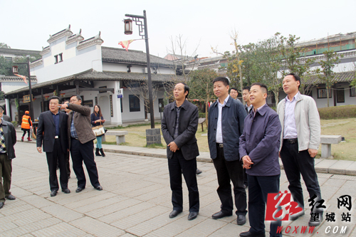 衡阳县委书记王洪斌率领衡阳县党政代表团考察望城区项目建设,休闲