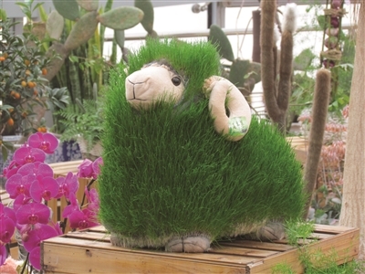 超萌羊植物羊年添喜气