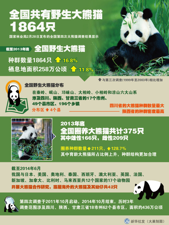 野生大熊猫数量图片