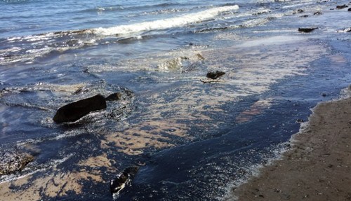 美国加州附近海域发生石油泄漏蔓延数公里图