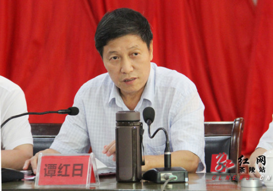 茶陵县一府两院专项工作迎接人大代表评议动员会召开