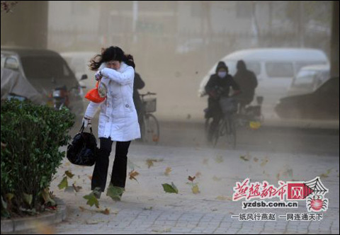 大霧之後石家莊遭遇大風天氣組圖