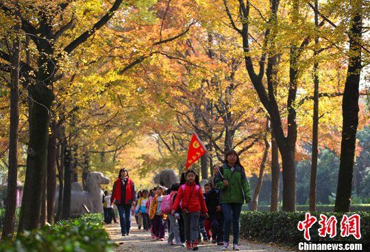 组图江南秋意浓外出郊游好时节
