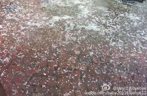 冰雹突襲吉林地面雪白一片明起天氣轉好氣溫回升