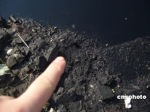 江苏昆山某地河水黑得像"墨水" 影响居民生活