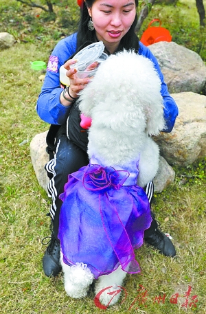 200狗狗登山遊園樂翻天