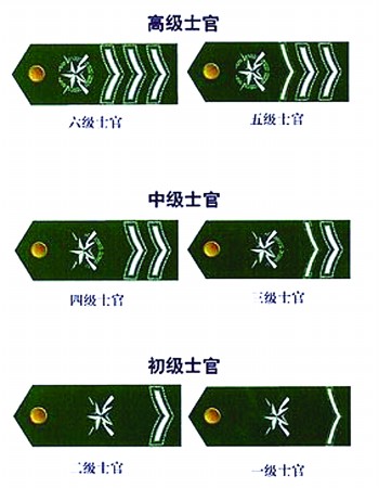 现行的陆军士官硬肩章(资料片)