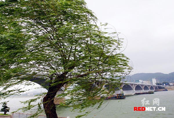 长沙湘江好大风