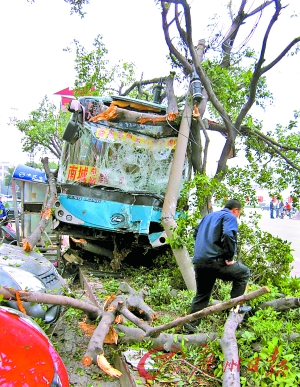 時間:昨天7時10分許地點:厚街寶塘路口原因:行人推單車過馬路,大巴