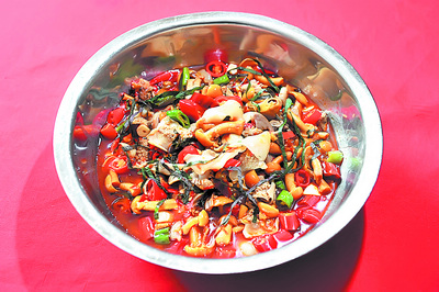 春天就是湘江边的一盆跳跳河蚌