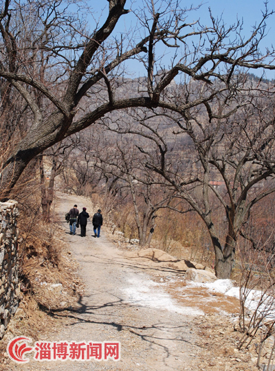 走进淄河镇 感受春之美