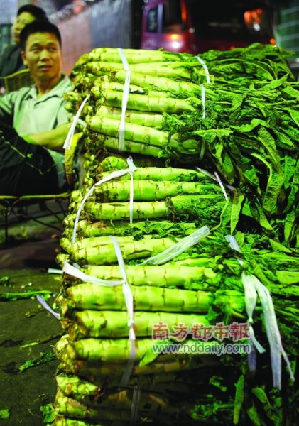 "150亩,人人种生菜"当然过剩