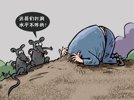 漫话漫画文/丫丫图/春鸣近日,农行海南省分行临高县支行原副行长陈建